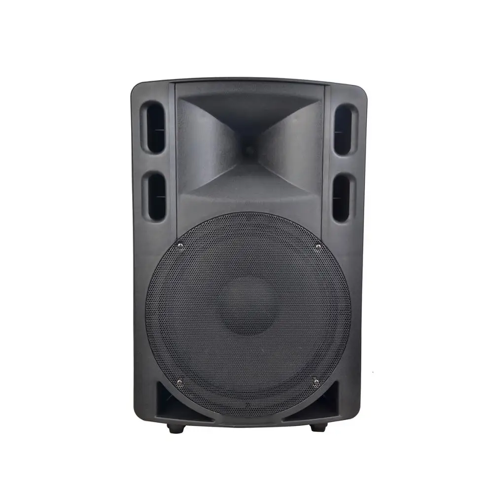 p audio speaker box
