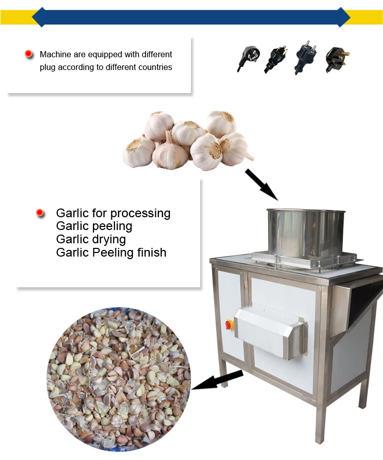 Garlic Machinery Splitting Machine Garlic Separating Machine Buy