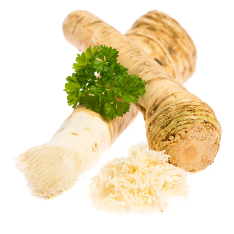 Fresh Organic Horseradish Root, View fresh horseradish root, Rchfood
