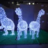 New style Precious species led 3d dinosaur with led string light