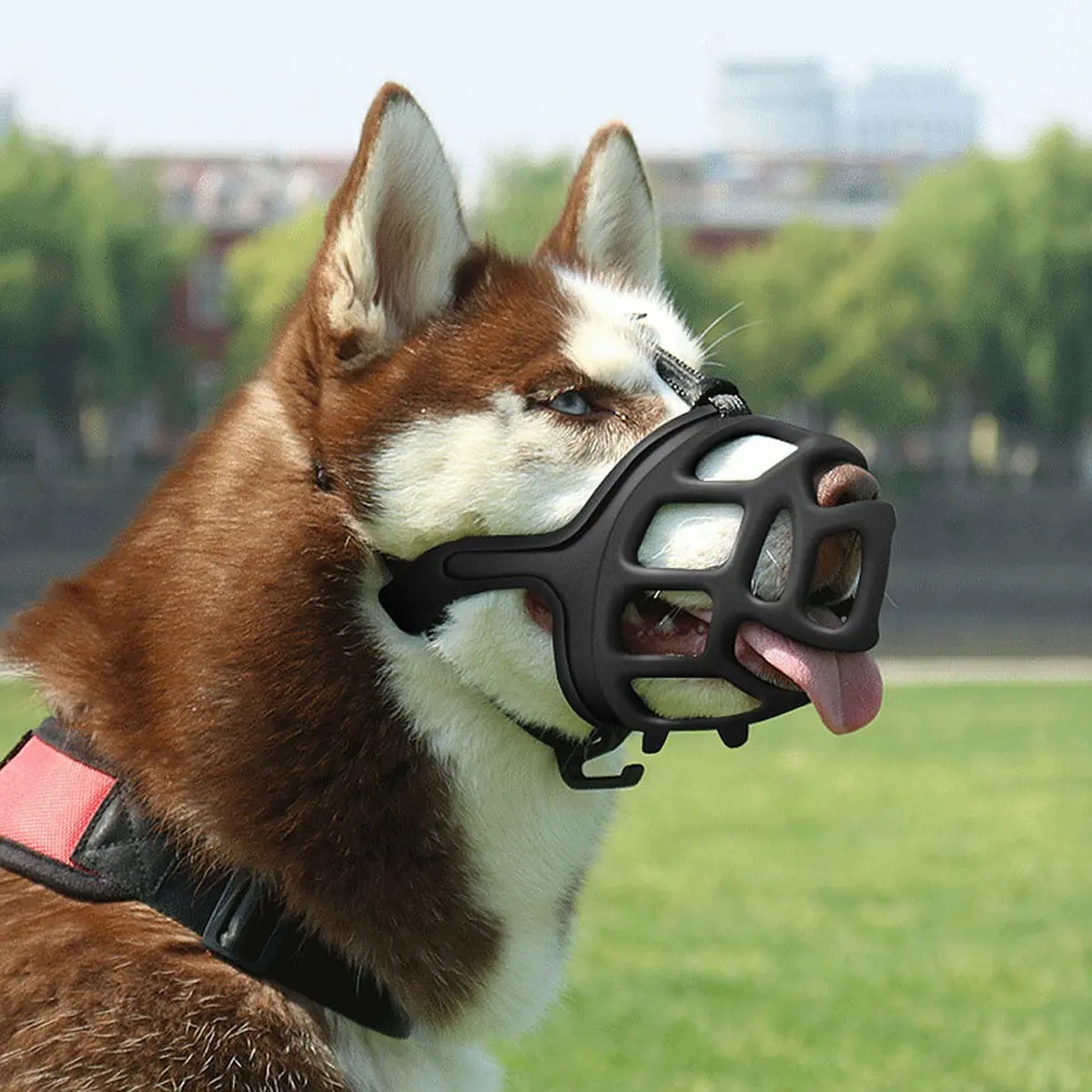 dog muzzle for small dogs