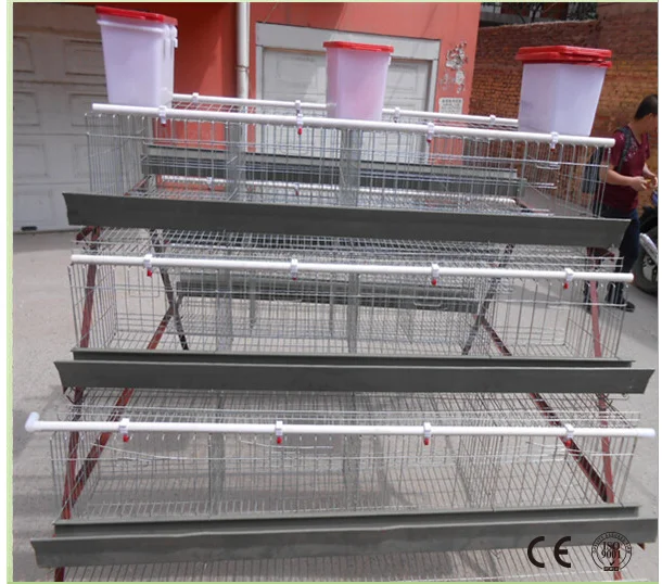 Best Selling Used Layer Poultry Semiautomatic Cage For 96 Chickens For