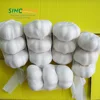 /product-detail/import-chinese-garlic-with-good-quality-60339354925.html