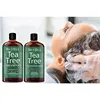 Wholesale private label anti-dandruff anti hair loss herbal tea tree shampoo conditioner