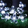 7M 50LED Warm white Cherry Blossom LED Solar cherry tree String Lights