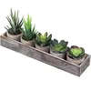 /product-detail/set-of-5-mini-fake-succulent-cactus-aloe-potted-plant-arrangements-decorative-assorted-potted-artificial-succulents-plants-62126068886.html