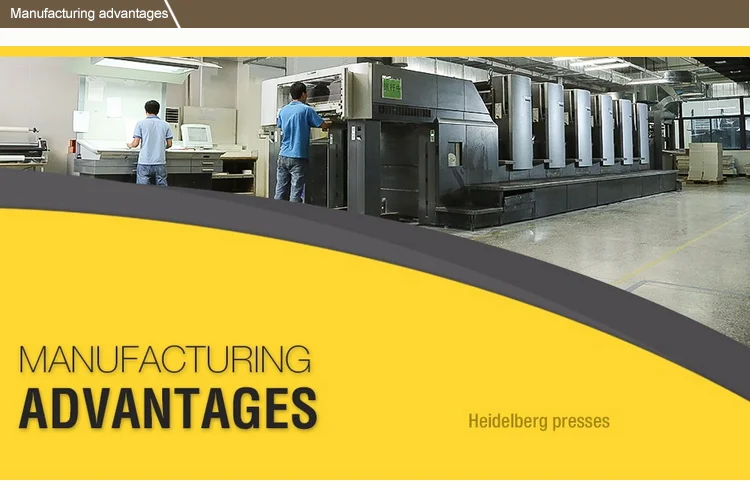 Manufacturing advantages.png