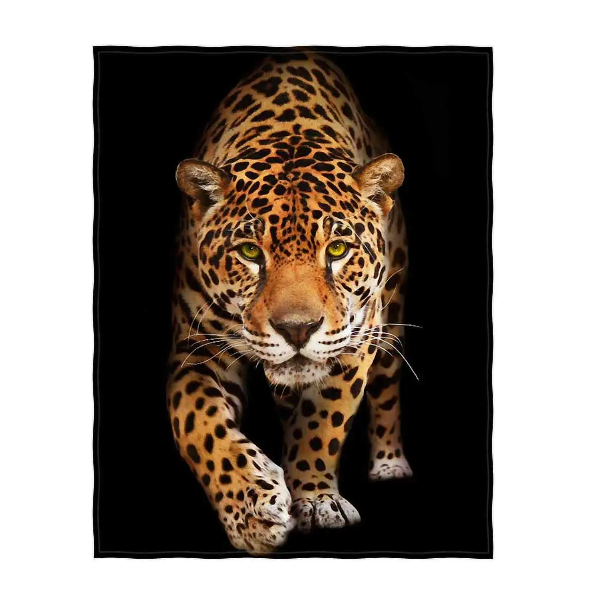 61wEurXBYSL._SL1200_