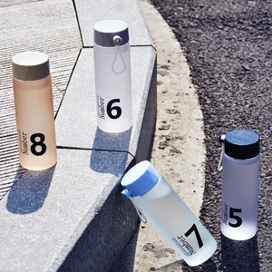 Image of Portable Travel Leak Proof Fruit Juice Sport Bottle Frosted Glass Water Bottle