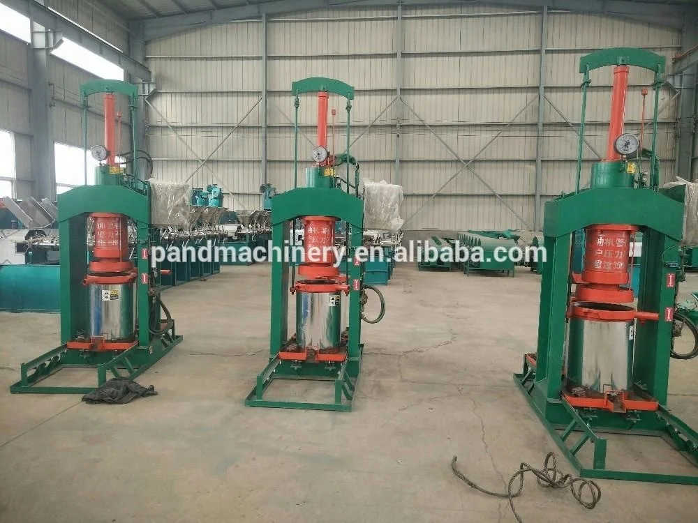 Prickly Pear Seed Oil Extraction Machine Huile D'olive Black Seed Oil Press Machine Pakistan