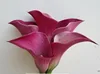 2016 Hot sale high quality wedding flowers fresh cut mini calla lilies