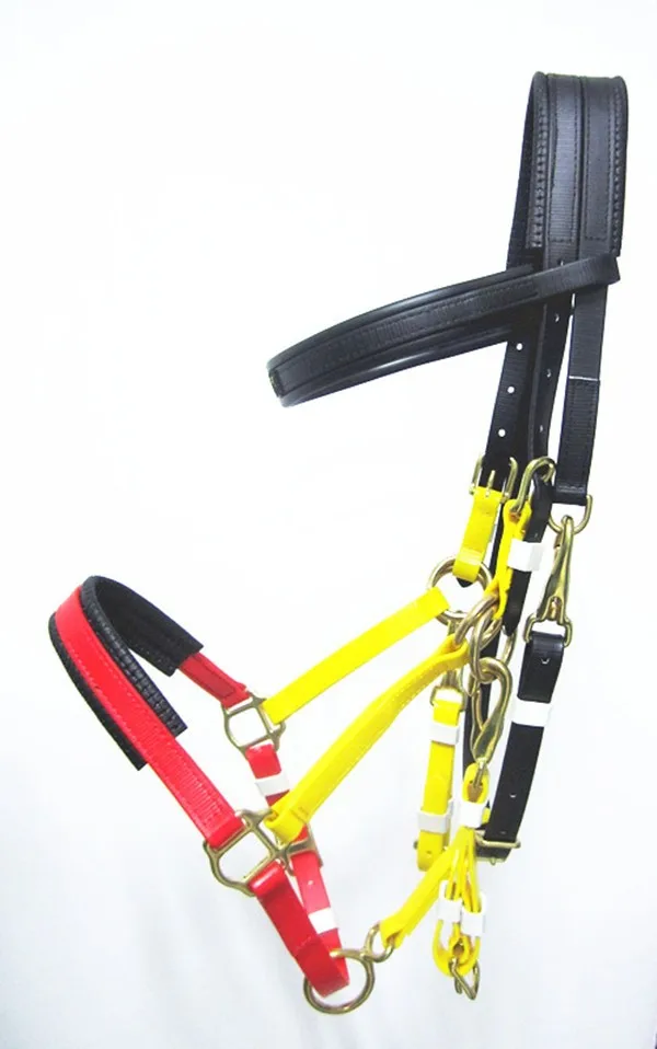 Synthetic Endurance Horse Racing Equipment Buy Horse Racing Equipment