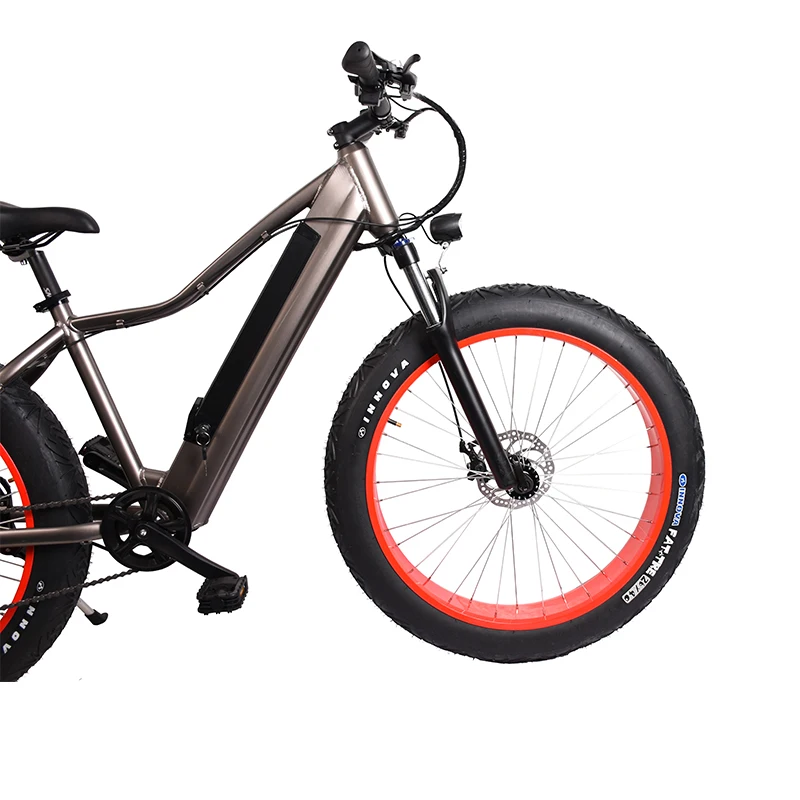 fat tyre electric bicycle.jpg