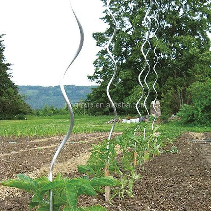 Resistant & Durable Metal Spiral Galvanised Garden Stakes For Climbing Plants Buy Metal Garden