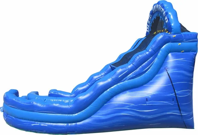 30ft inflatable water slide