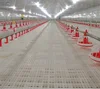 Low price broiler floor raising system building with roxell poultry equipment for chicken