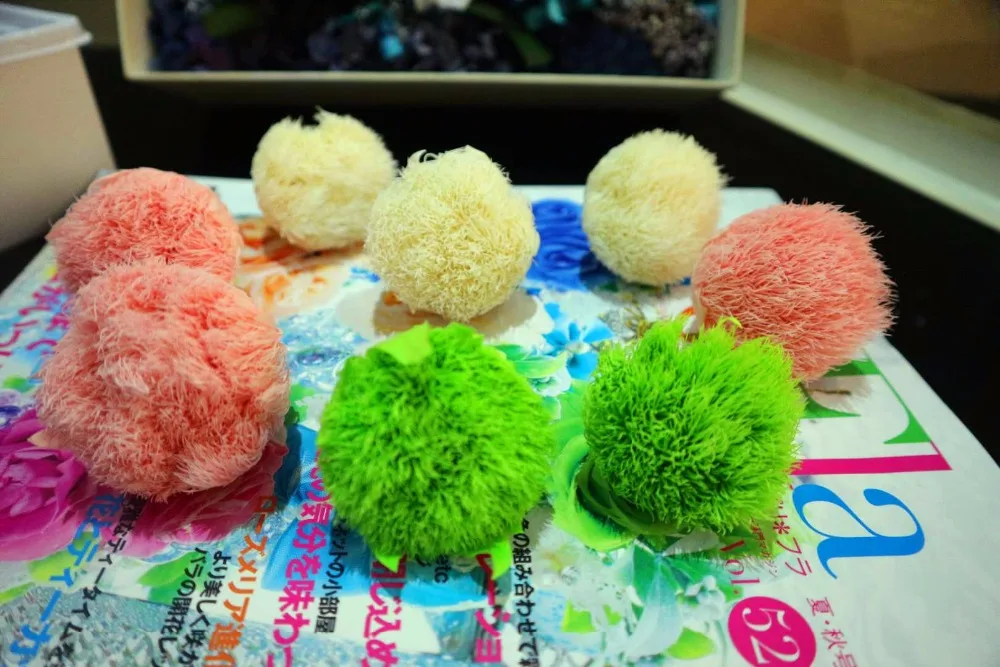 
Chinese supplier Wholesale preserved green trick Dianthus for flower wall backdrop 