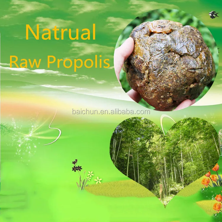 Raw propolis 08.jpg