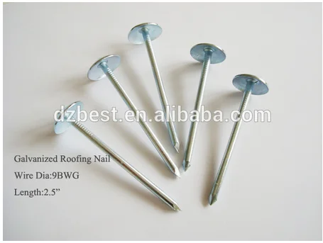roofing nails umbrella head 