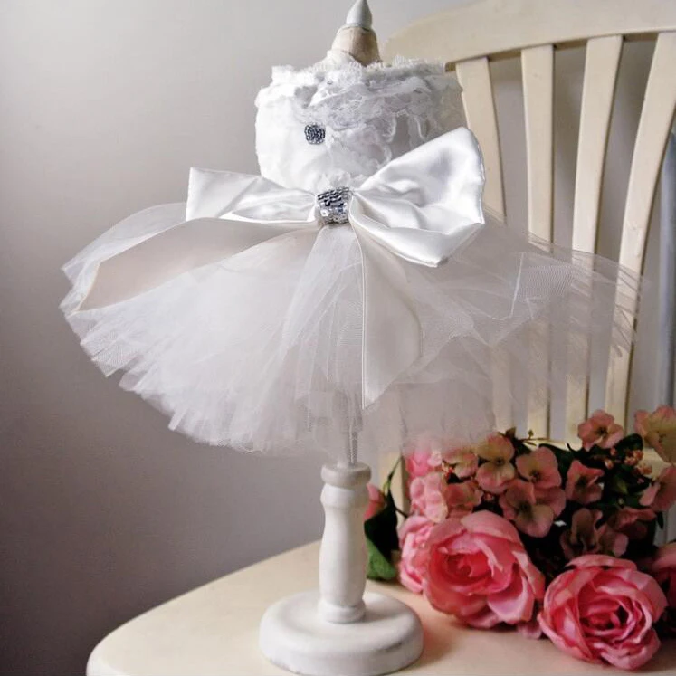 dog Wedding Dress.jpg