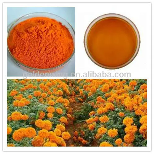 Marigold Oleoresin.jpg