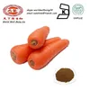 Bulk Food Coloring Powder Beta Carotene Daucus Carrot Extract Powder / Beta-Carotene Extract Powder