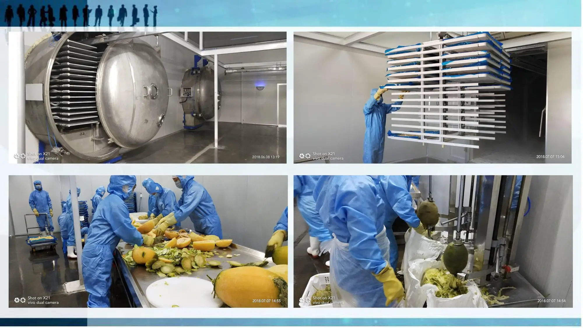 No pigment no essence freeze dried fruit chips strawberry