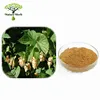 High Purity Powder Hops Flower Extract For Beer Brewing