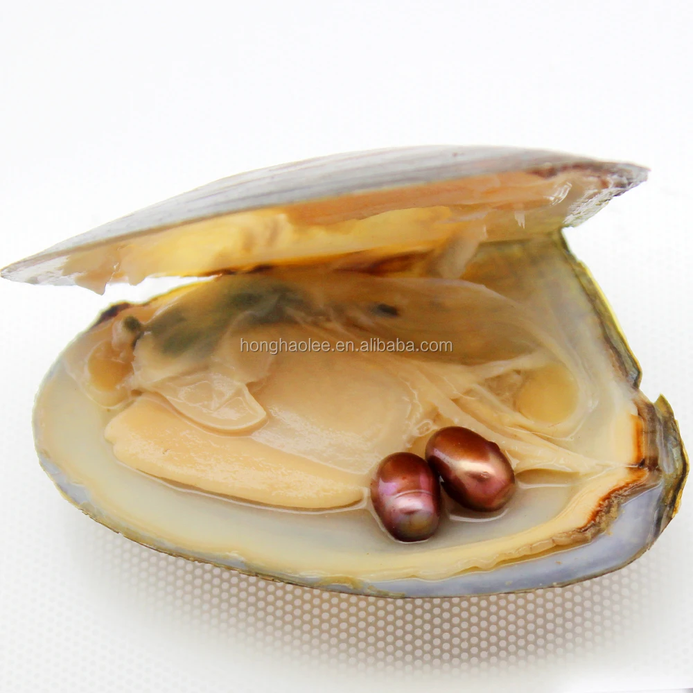 

Bulk Wholesale Vacuum Packaging Oysters 6-8 mm Elliptical Pearls Rich Colors Bright Freedom Match Spot (Free Shipping)