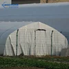 Blackout screen material black and white poly panda film 10 ft x 50 ft roll for greenhouse cover
