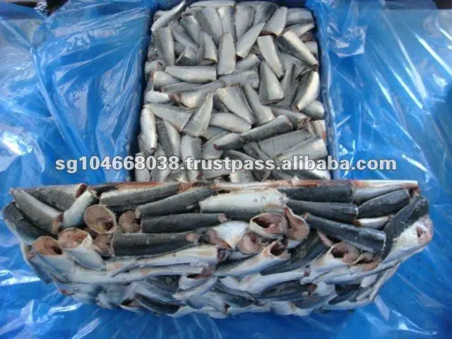 sardine hgt morocco yulyfish (4).jpg