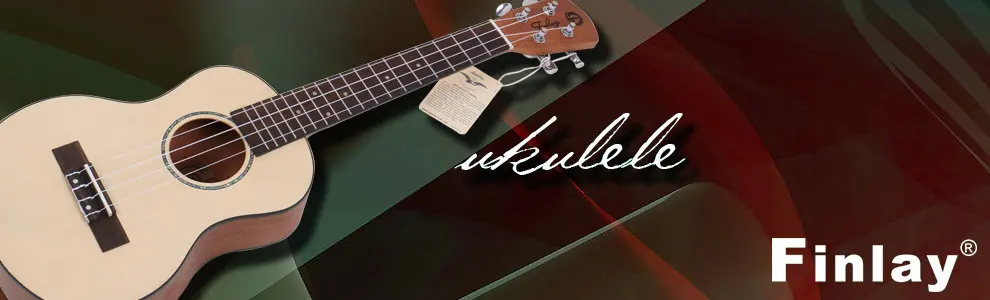 Foshan Sanshui Feshanm Musical Instruments Manufacturing Co