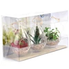 PVC folding box Clear transparent Double Blister Clamshell Packaging supplier