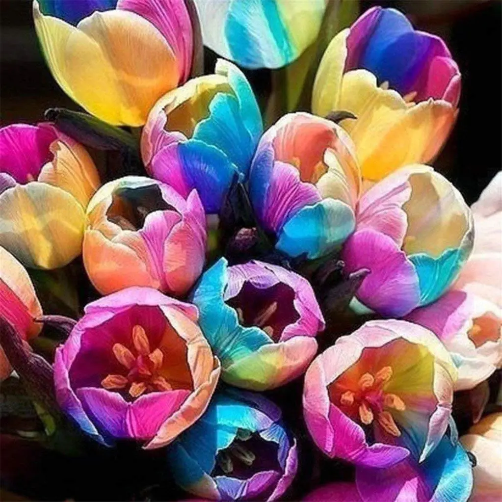 Cheap Blue Tulip Bulbs, find Blue Tulip Bulbs deals on line at