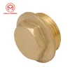 1/2" Plumbing Brass Flanged Plug