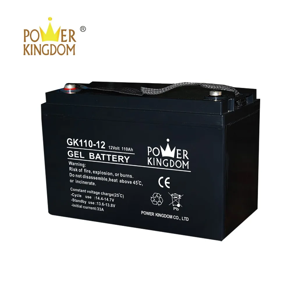 Power Kingdom Custom pb battery charger with good price wind power system-2