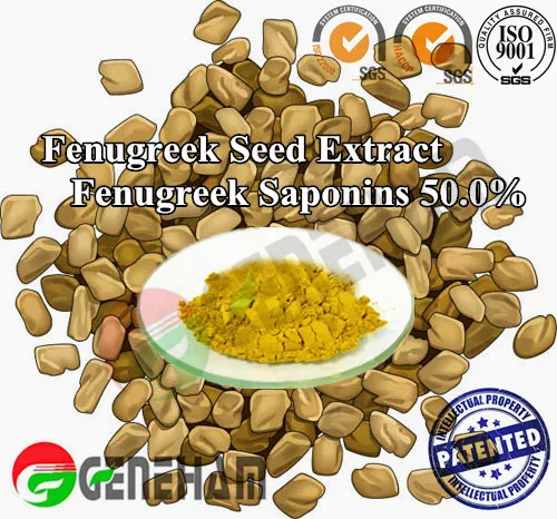 Herbal Male Sex Enhancement Fenugreek Seed Extract China Manufacturer