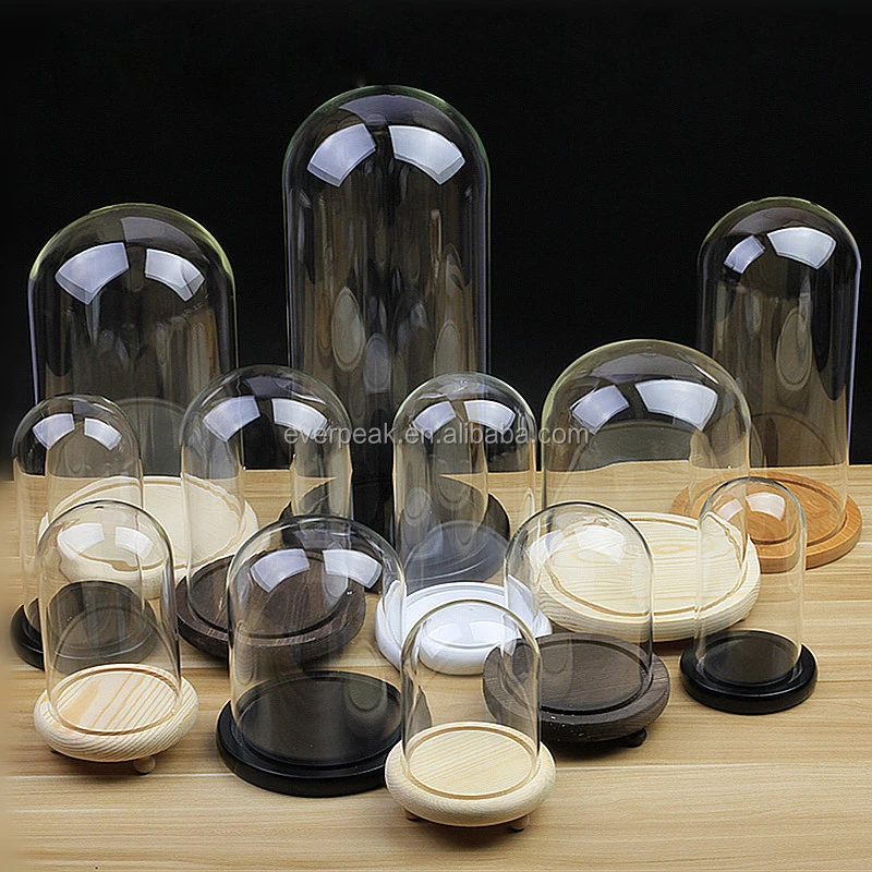 Oem Factory Wholesale Mini Large Glass Display Domes With Wood Base Man