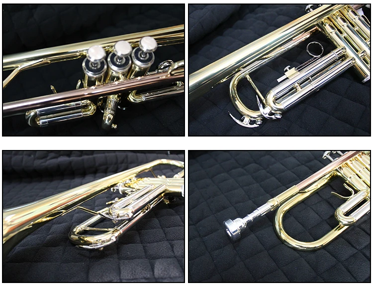 Ftr200l Bb Tone Brass Wind Instrument Glod Lacquered Cheap