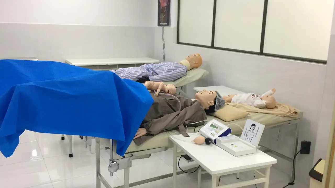 Birthing Simulator.jpeg