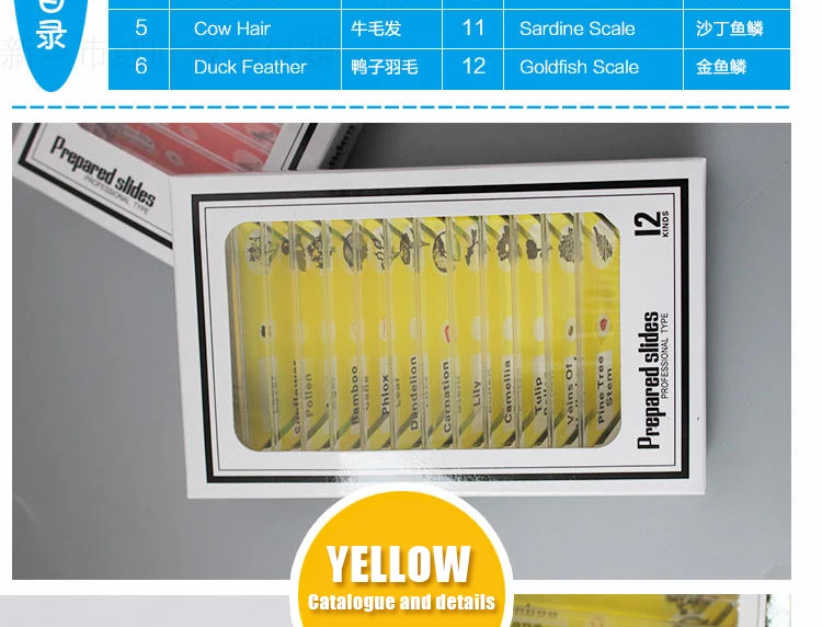 011 plastic microspoce prepared slides