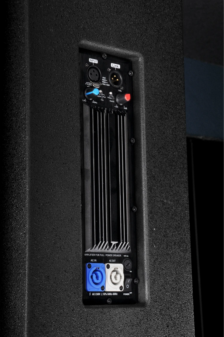 Dsl215 Active Speaker Amplifier Module,Built In Amplifier Speaker