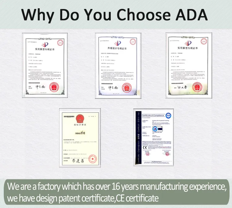 Outdoor Black Collapsible Wall Mounted Ladder