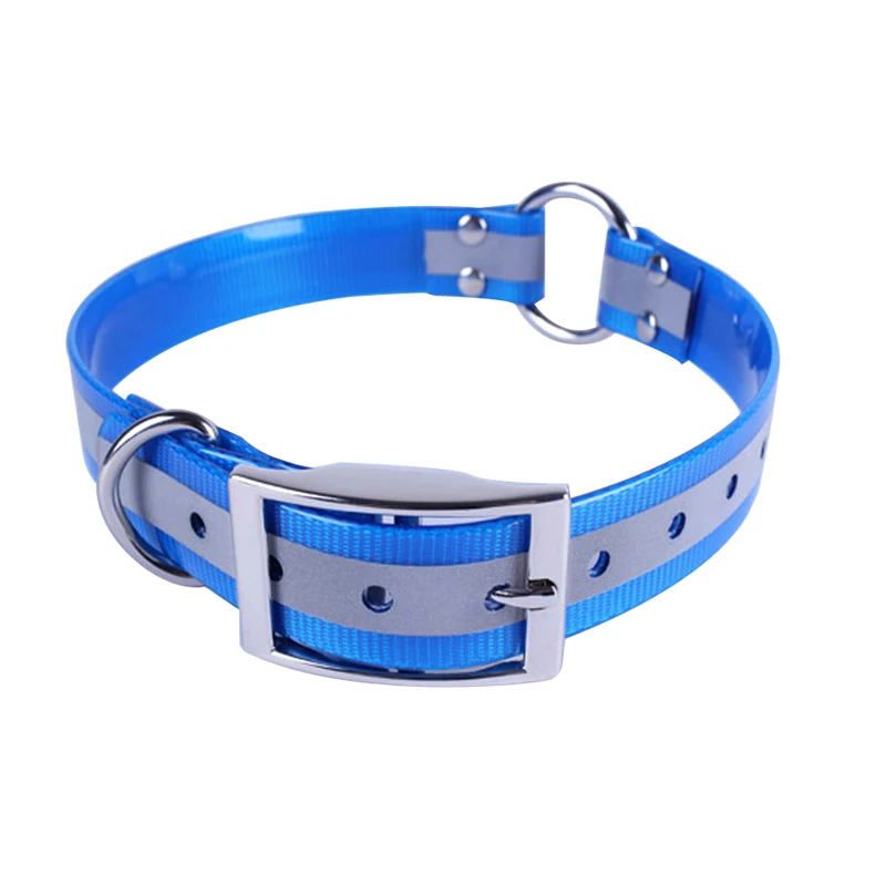 dog collar blue pictures.