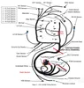 1997-2002 GM LS1/ LS6 W/T 56 Electronic fuel injection standalone wiring harness Drive by Cable for Camaro Firebird Trans am
