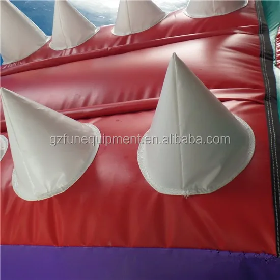 inflatable bouncer .jpg