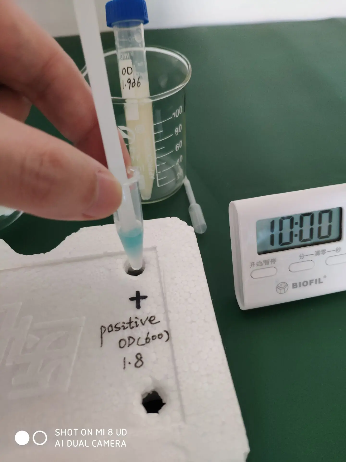 New Product E. Coli Bacteria Water Test Strips Testing Kit Buy Water