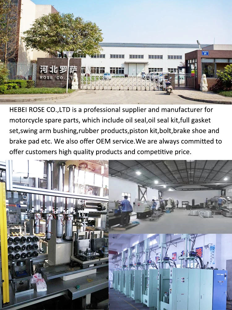Company Profile
