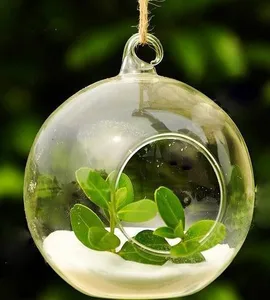 Image of 2019 hotsale clear hanging glass vase, clear glass terrarium, clear glass candle holder