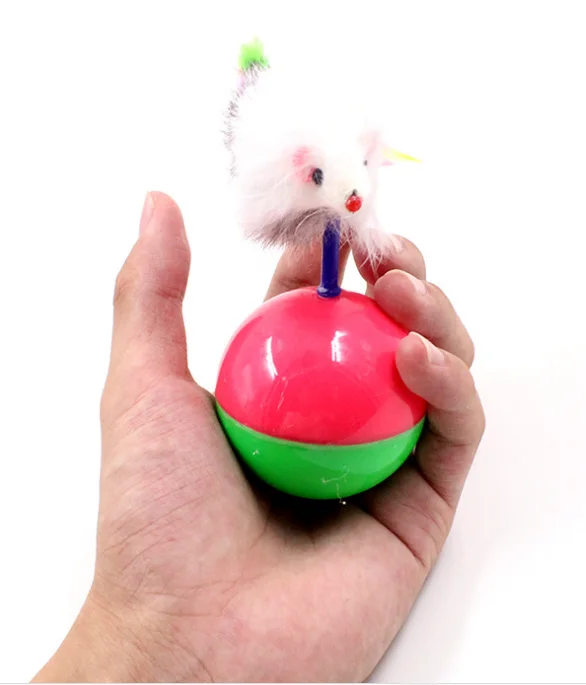 1554265901(1).png